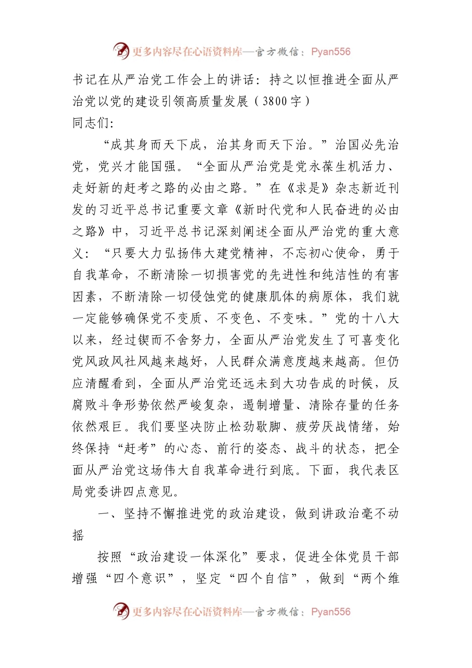 书记在从严治党工作会上的讲话：持之以恒推进全面从严治党以党的建设引领高质量发展.docx_第1页
