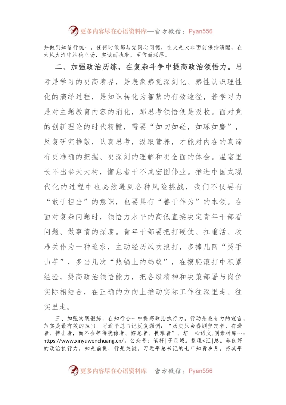 主题教育研讨交流发言：新时代党员干部要在主题教育中提升“政治三力”.docx_第2页