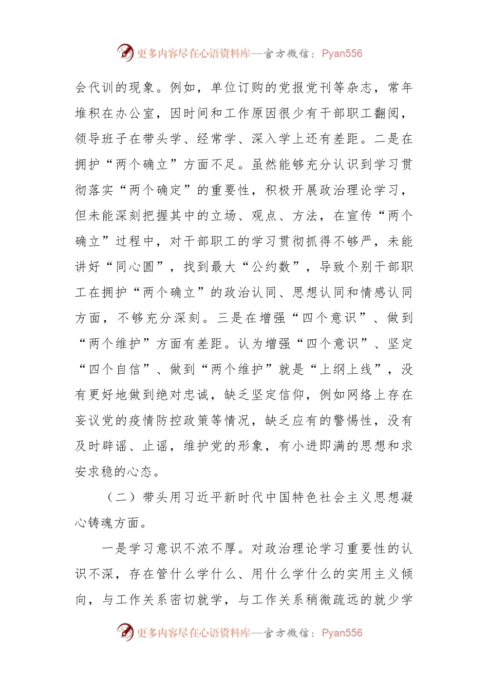上年度乡领导班子“六个带头”民主生活会对照检查材料.docx_第2页