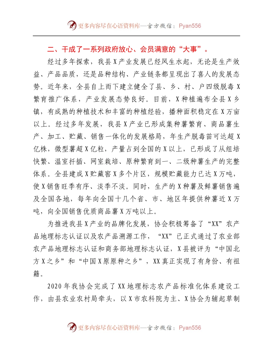 产业协会工作总结.docx_第2页
