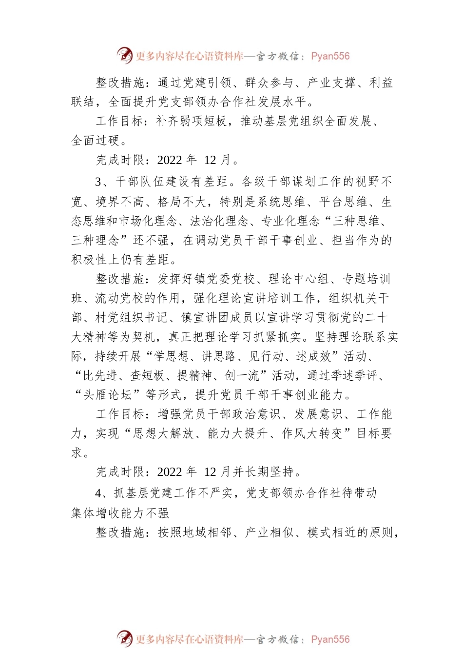 乡镇党委书记抓基层党建工作整改清单.docx_第2页