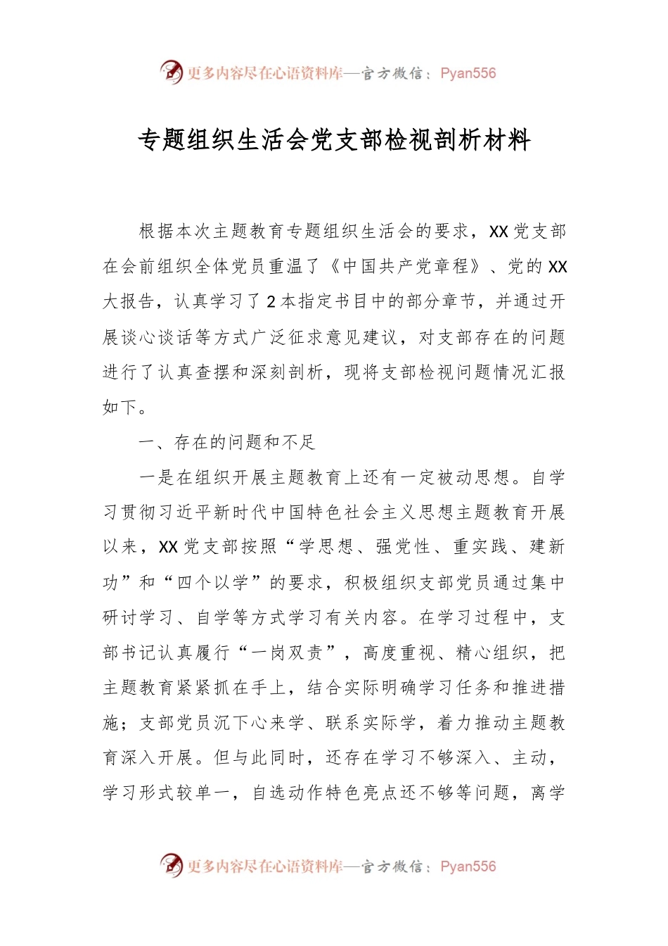 专题组织生活会党支部检视剖析材料.docx_第1页