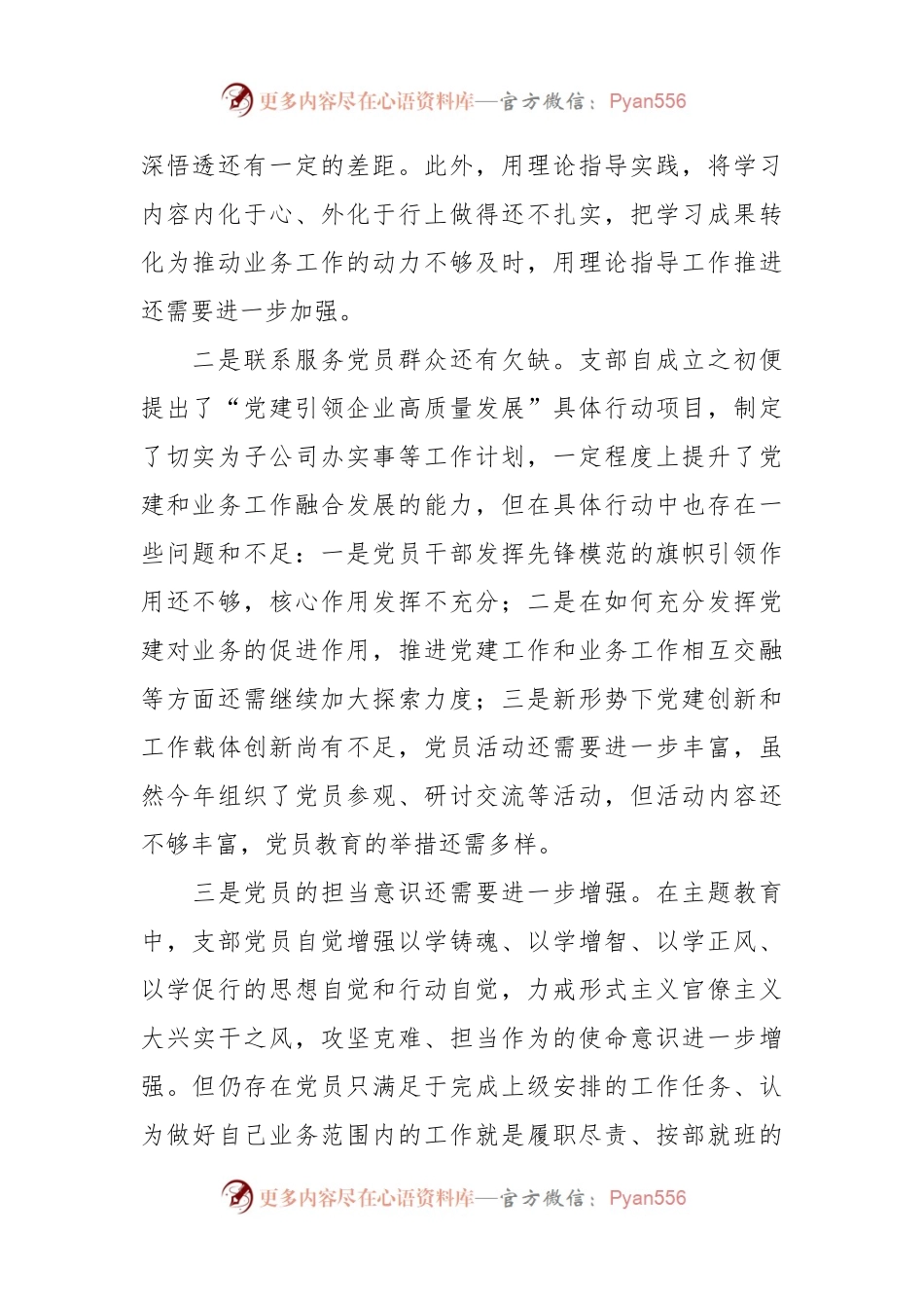 专题组织生活会党支部检视剖析材料.docx_第2页