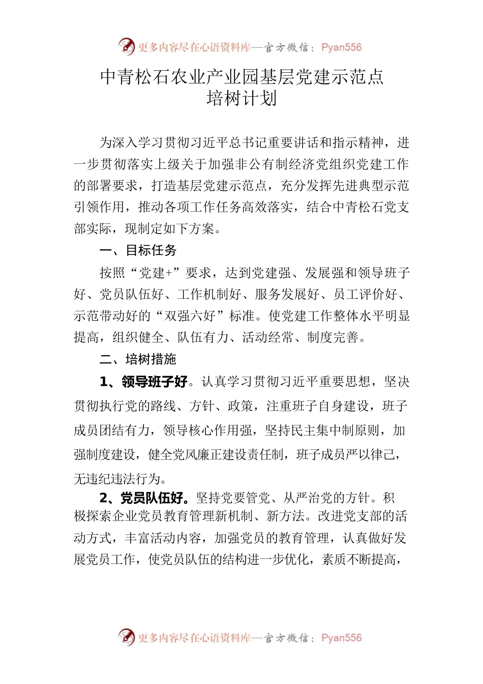 中青松石基层党建示范点培树计划.docx_第1页