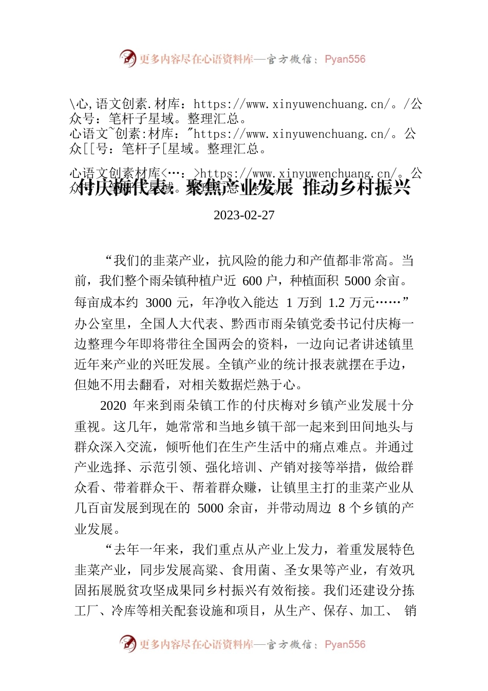 付庆梅代表：聚焦产业发展 推动乡村振兴.docx_第1页