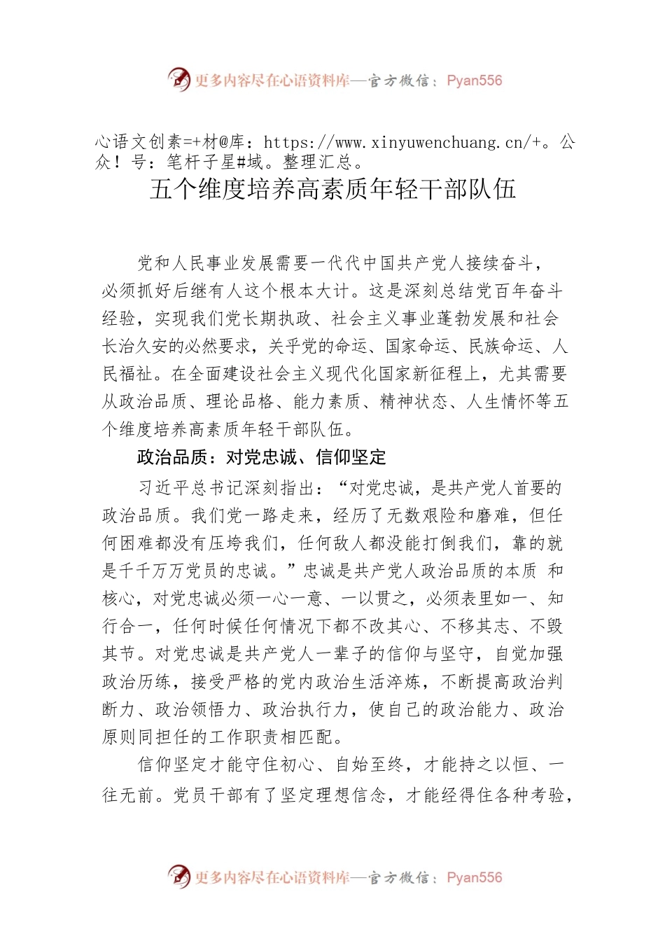 五个维度培养高素质年轻干部队伍.docx_第1页