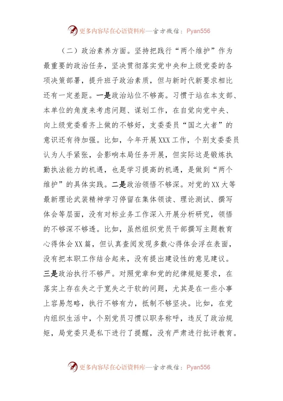 主题教育专题组织生活会班子对照剖析材料2023年.docx_第2页