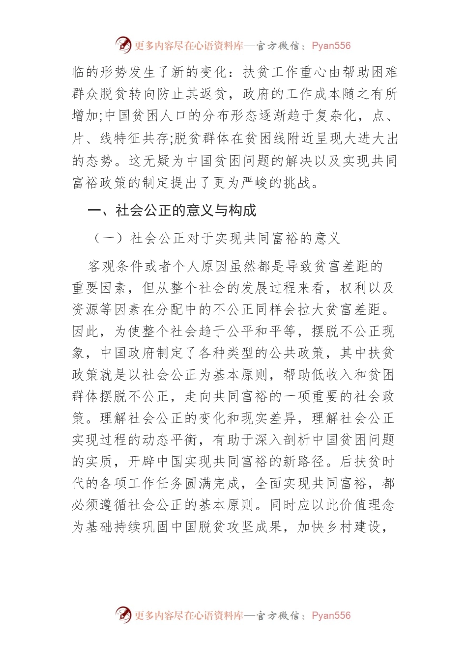 【讲义文稿】社会公正视角下解决农村共同富裕问题的政府责任研究.docx_第2页