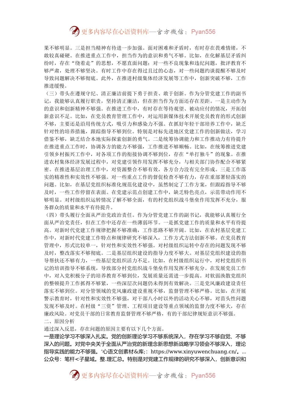 乡党委副书记2024年民主生活会个人对照检查材料（四个带头）.docx_第2页