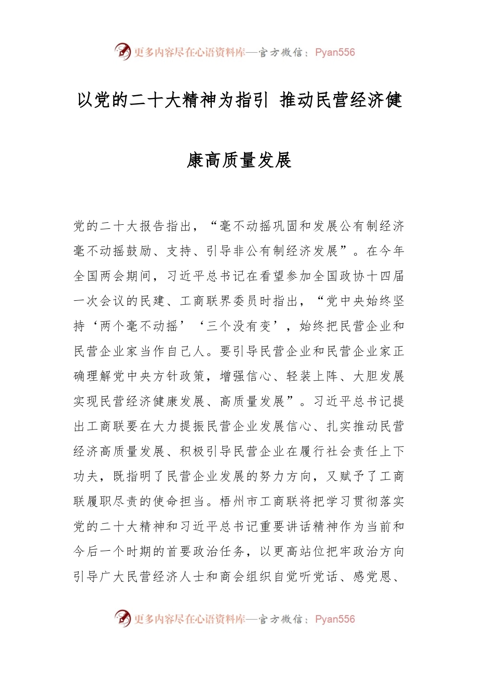 以党的二X大精神为指引 推动民营经济健康高质量发展.docx_第1页