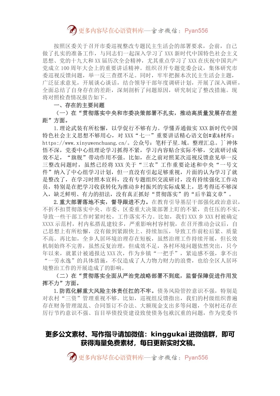乡镇党委书记在市委巡视整改专题民主生活会上的个人发言提纲.docx_第1页