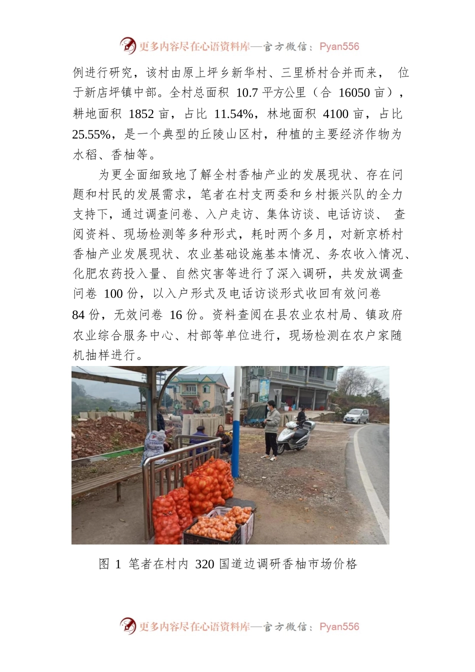 丘陵地区香柚产业发展限制因素及对策研究.docx_第2页