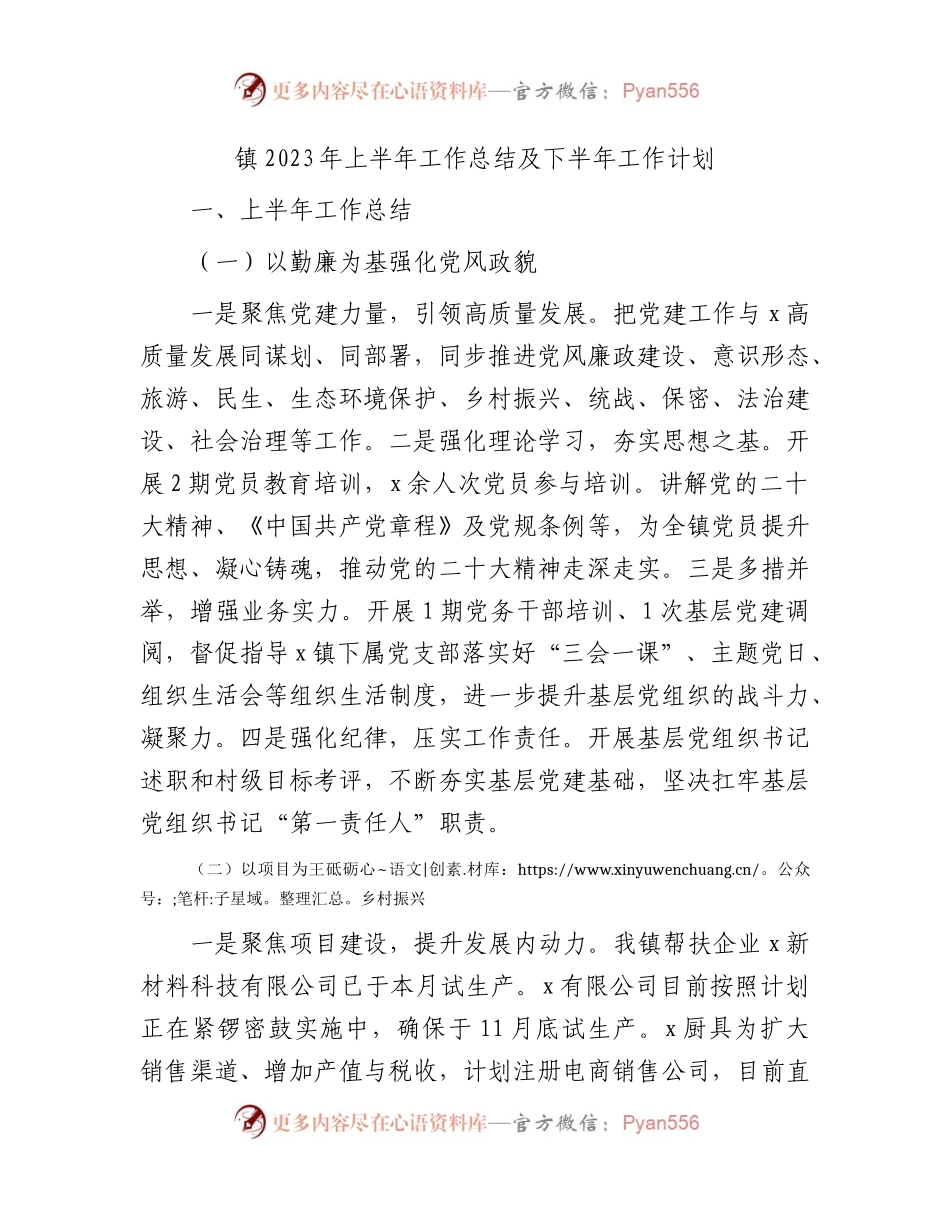 乡镇2023年上半年工作总结及下半年工作计划.docx_第1页