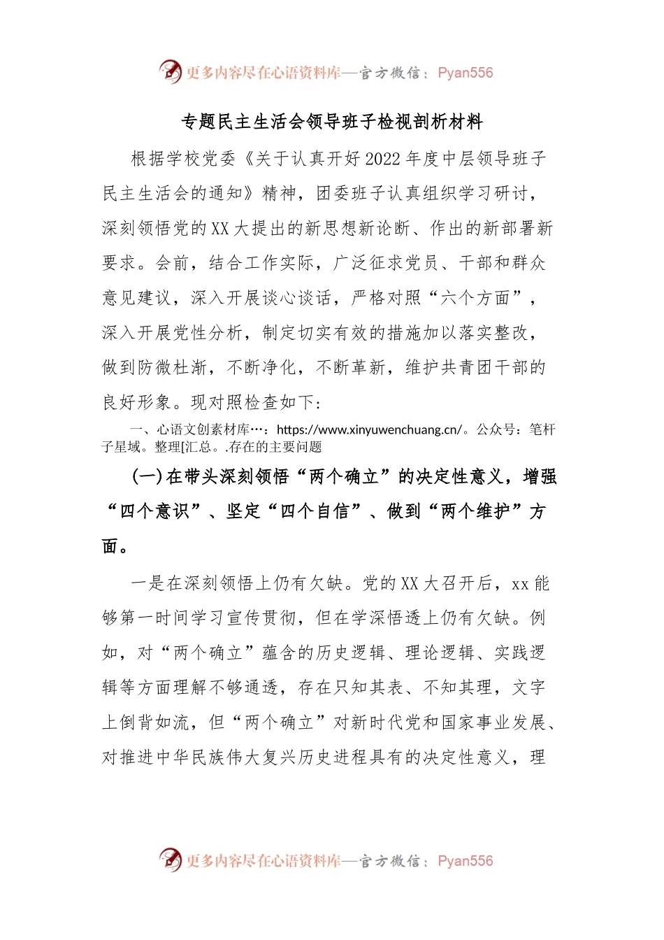 专题民主生活会领导班子检视剖析材料.docx_第1页