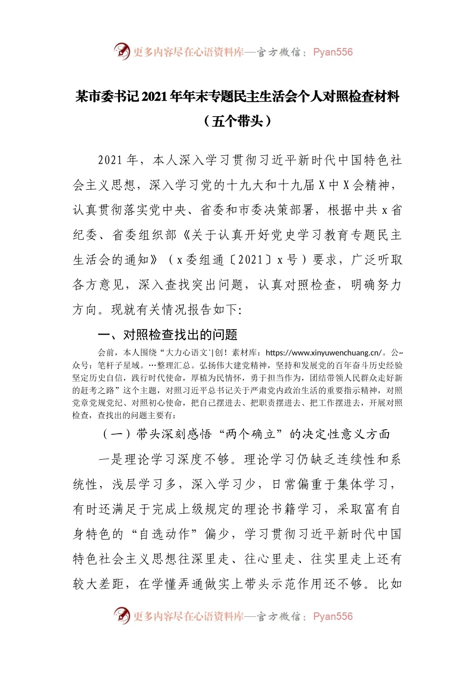 个人2021年专题民主生活会个人对照检查材料（主要负责人）.docx_第1页