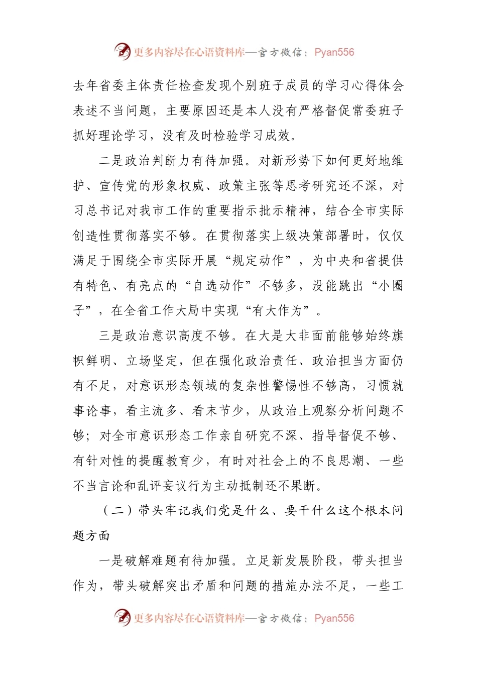 个人2021年专题民主生活会个人对照检查材料（主要负责人）.docx_第2页