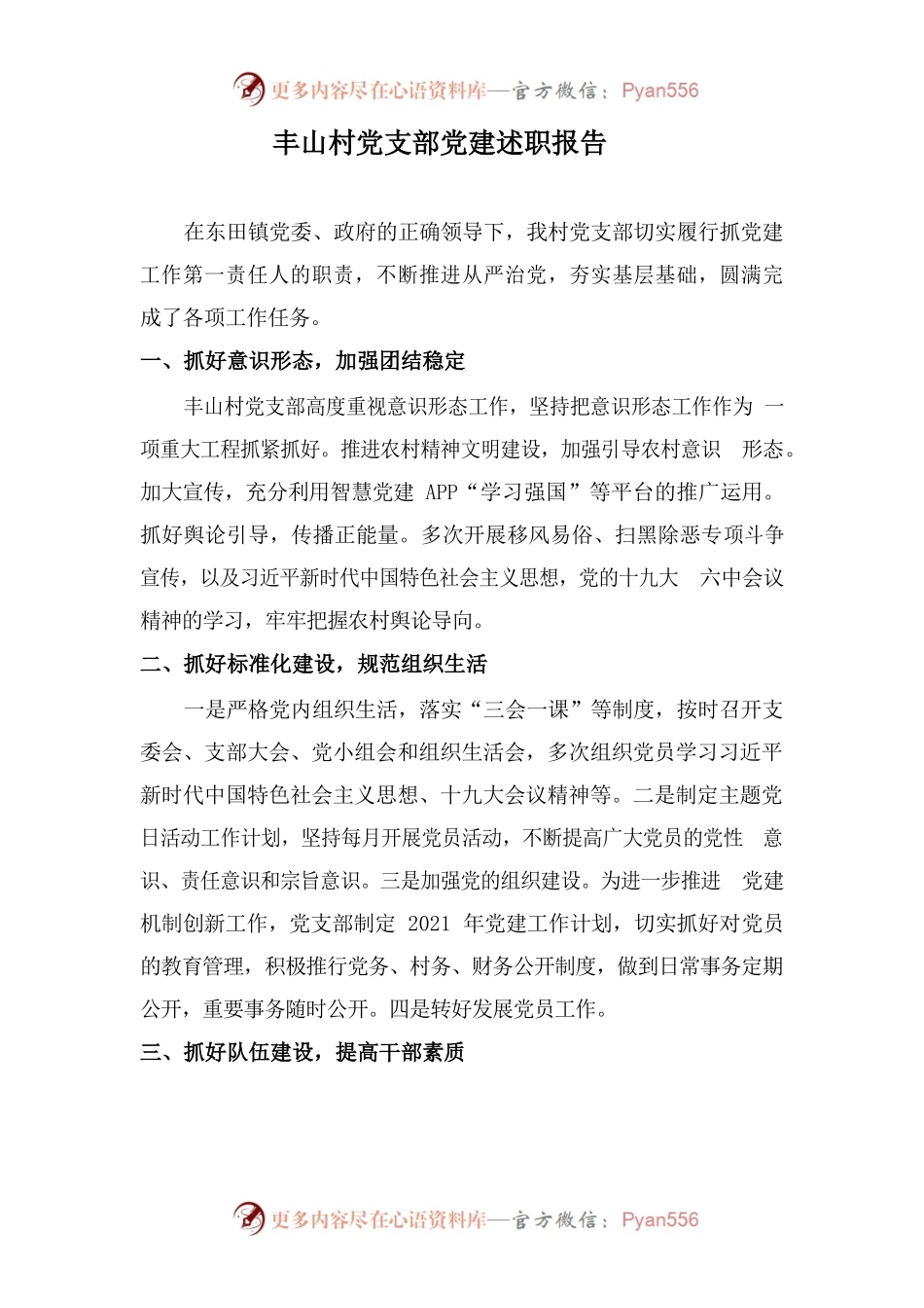 丰山村党支部党建述职报告.docx_第1页