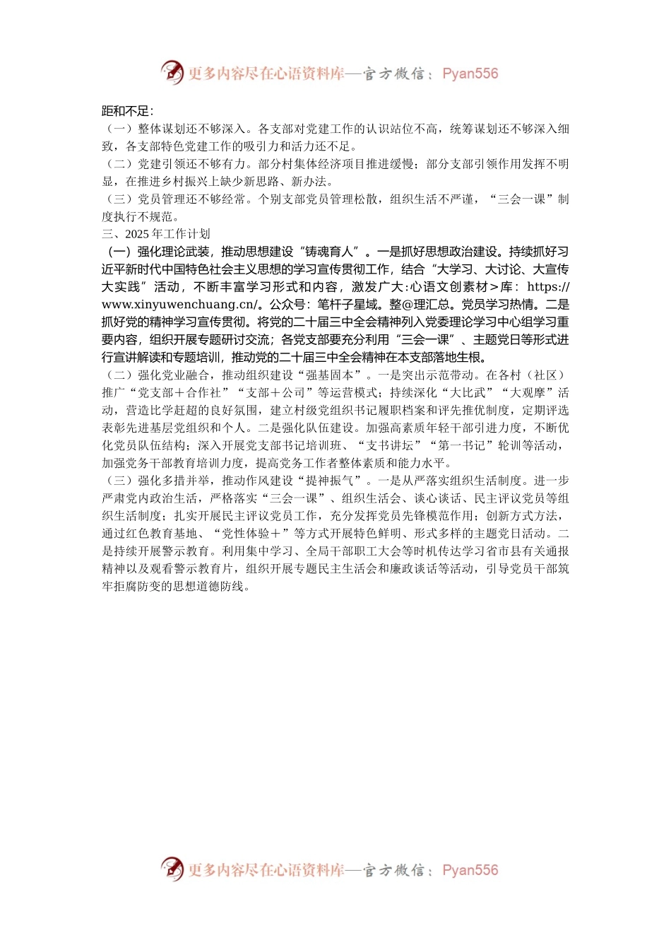 乡镇2024年党建工作总结及2025年党建工作计划.docx_第2页