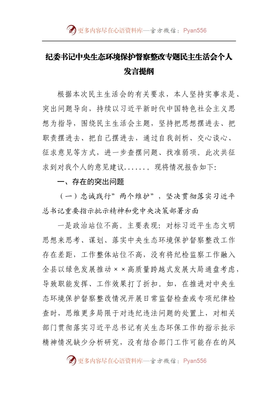 中央生态环境保护督察整改专题民主生活会个人发言提纲.docx_第1页
