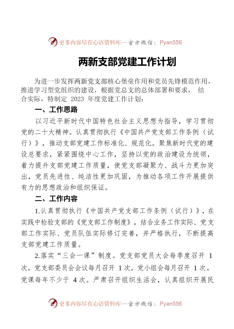 两新支部党建工作计划.docx_第1页