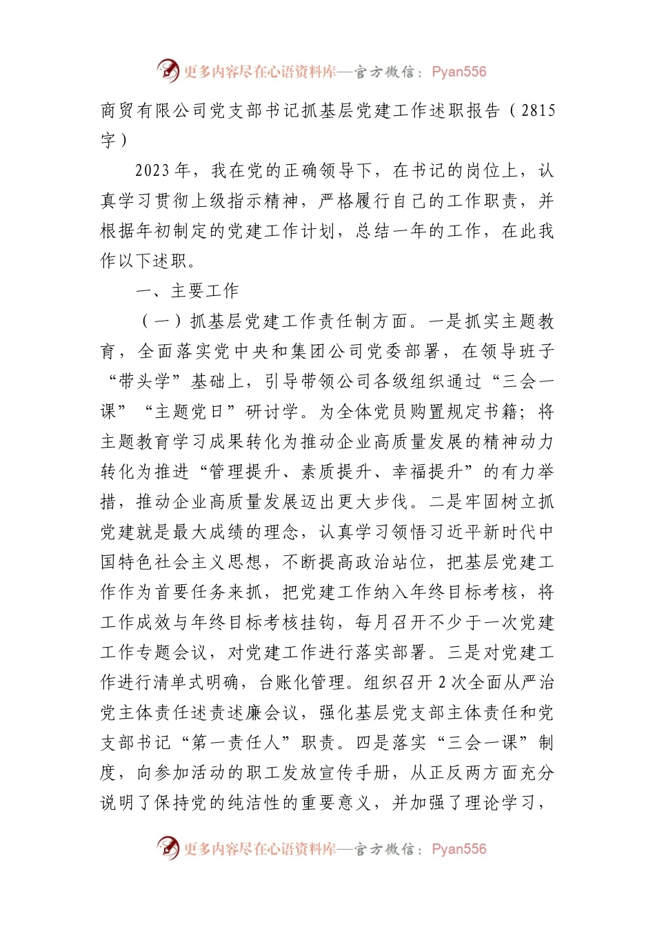 两新商贸有限公司党支部书记抓基层党建工作述职报告.docx_第1页