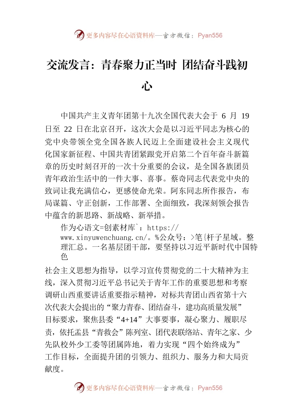 交流发言：青春聚力正当时 团结奋斗践初心.docx_第1页