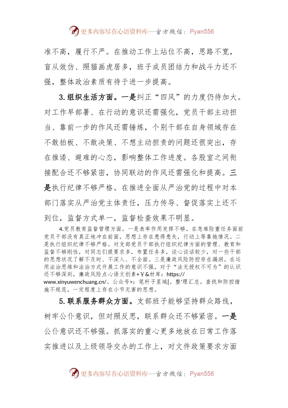 主题教育党支部班子对照检查材料.docx_第2页