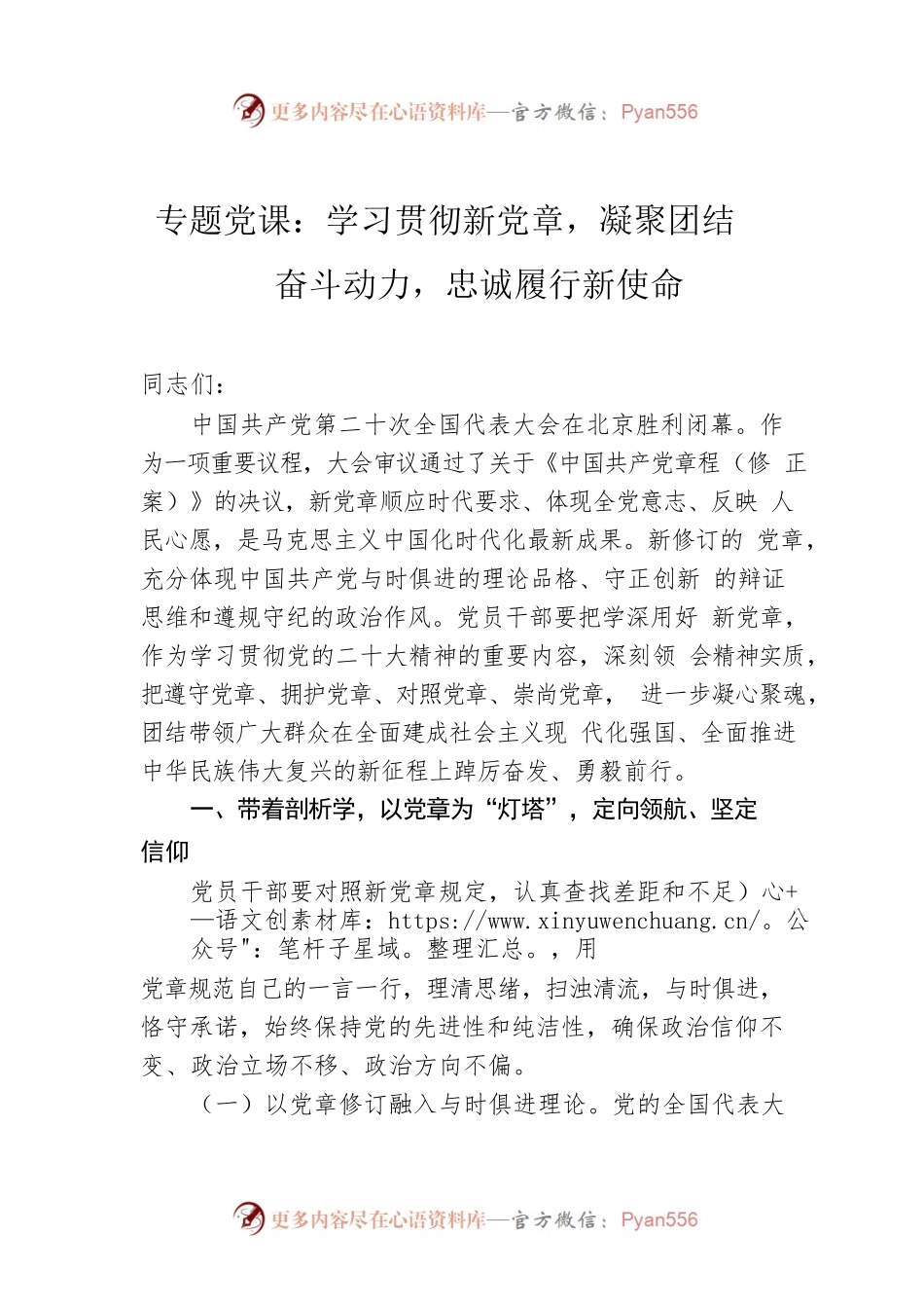 专题党课：学习贯彻新党章，凝聚团结奋斗动力，忠诚履行新使命.docx_第1页