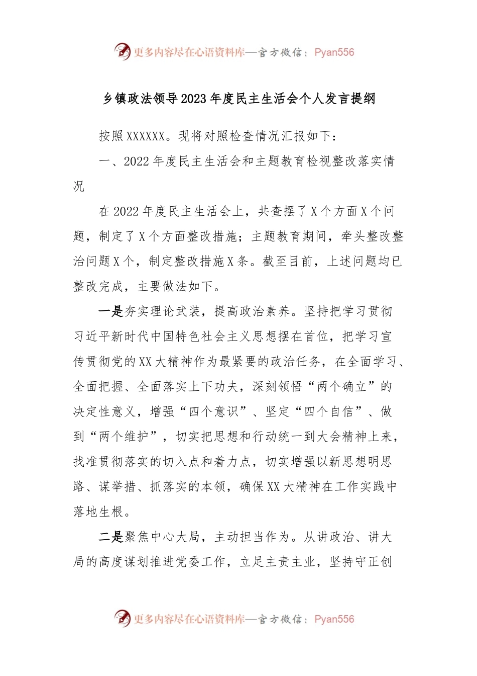 乡镇政法领导2023年度民主生活会个人发言稿提纲.docx_第1页