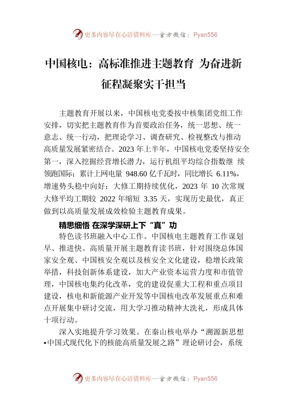 中国核电：高标准推进主题教育 为奋进新征程凝聚实干担当.docx_第1页
