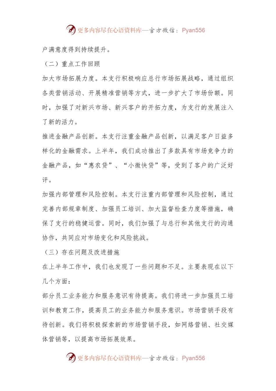 中国农业银行某某支行2024年上半年工作总结与下半年工作计划.docx_第2页