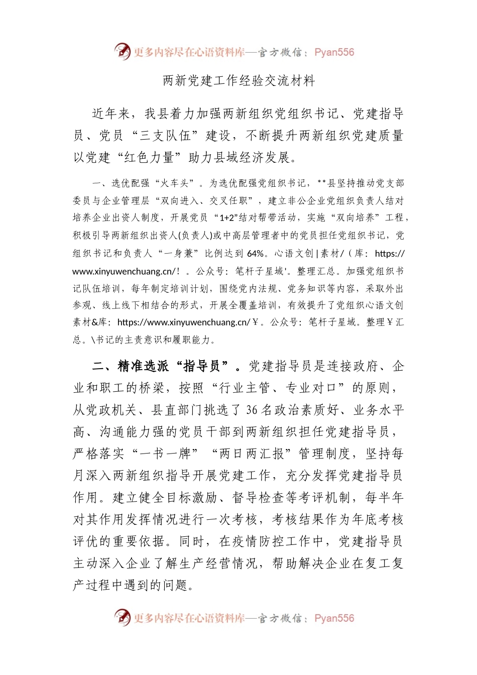 两新党建工作经验交流材料.docx_第1页