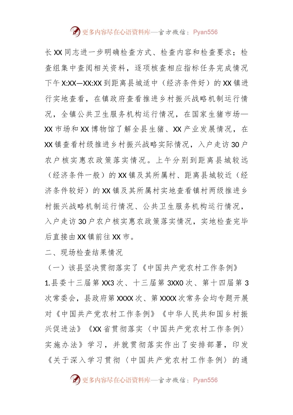 乡村振兴实绩考核现场检查报告.docx_第2页