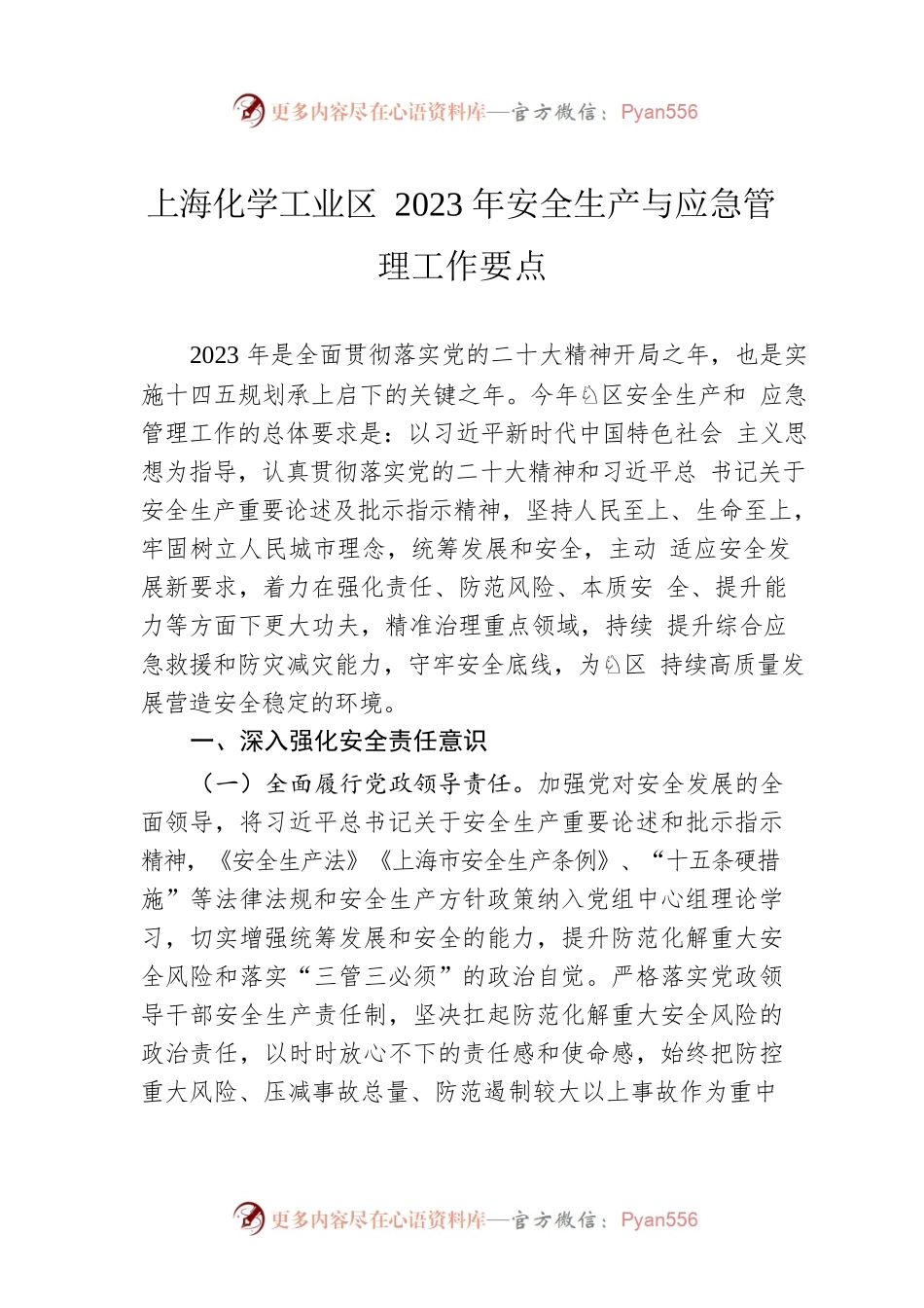 上海化学工业区2023年安全生产与应急管理工作要点.docx_第1页