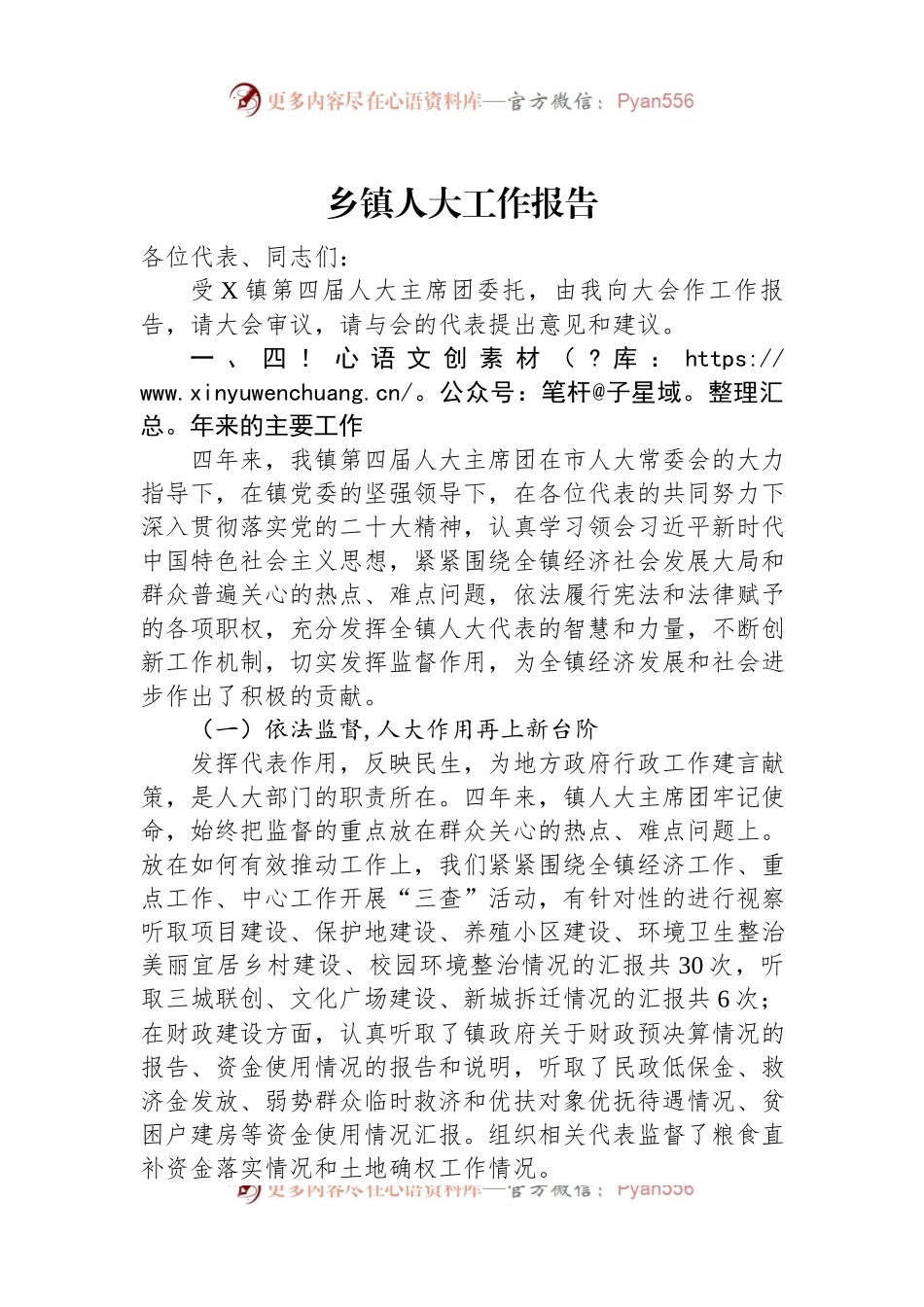 乡镇人大工作报告.docx_第1页