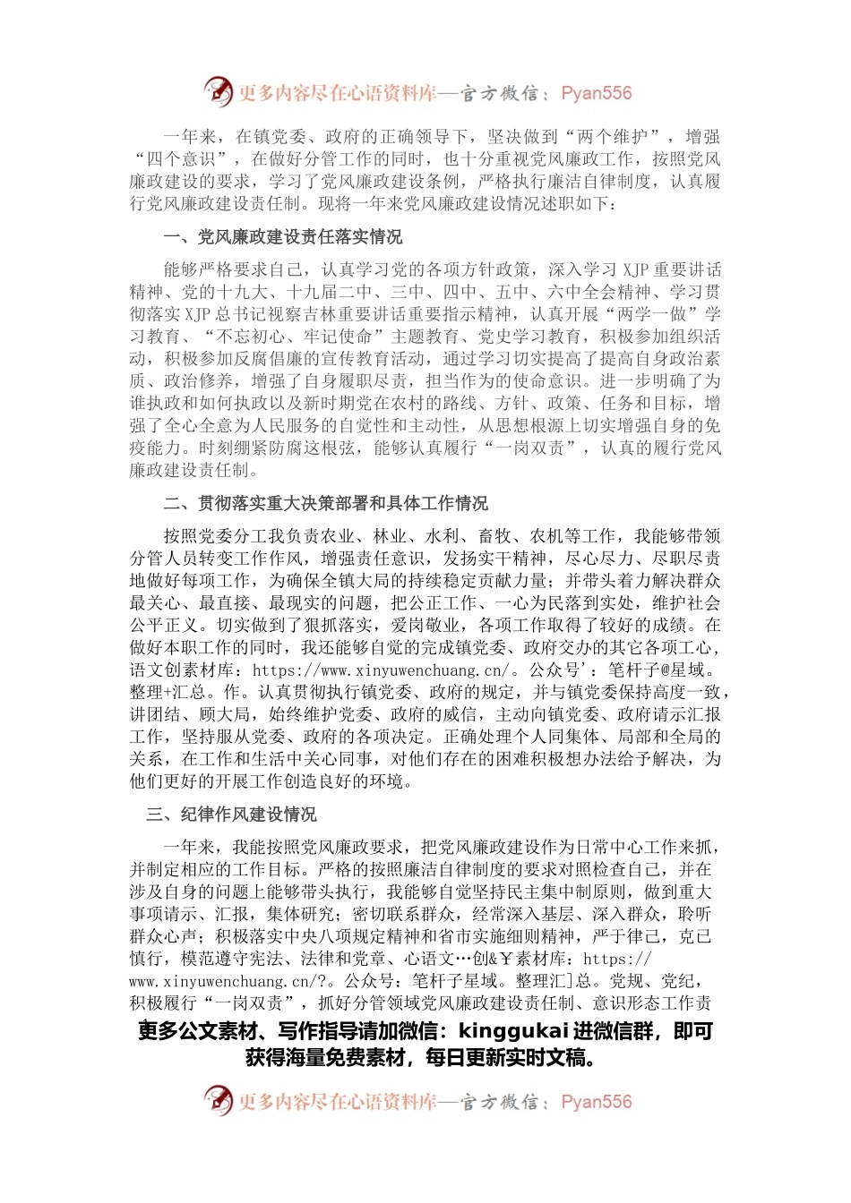 乡镇副镇长述责述廉报告.docx_第1页