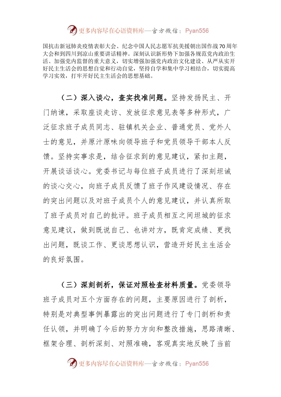 专题民主生活会开展情况报告.docx_第2页