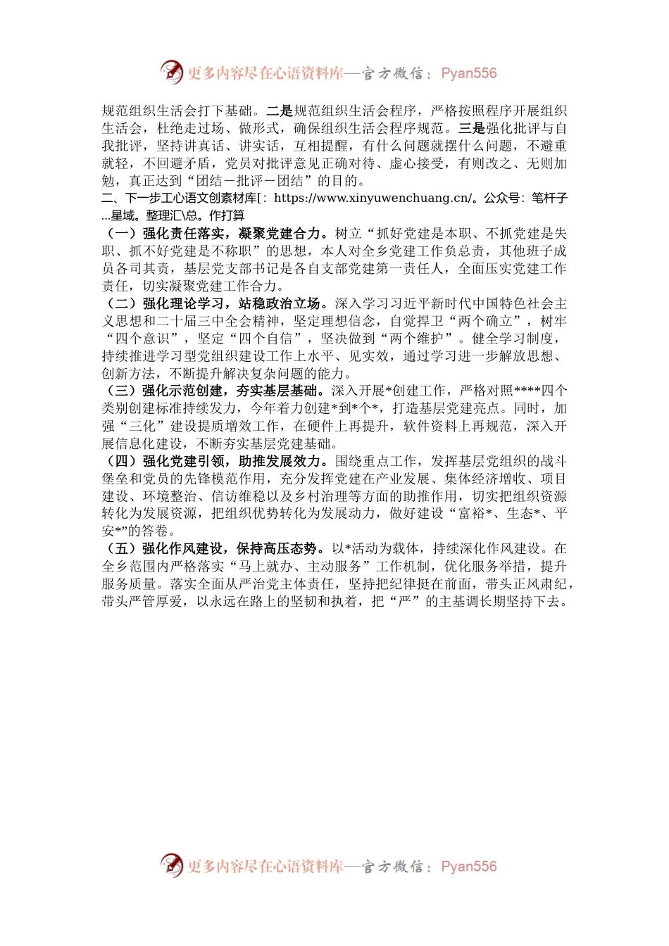 乡镇2024年度基层党建工作整改报告.docx_第2页