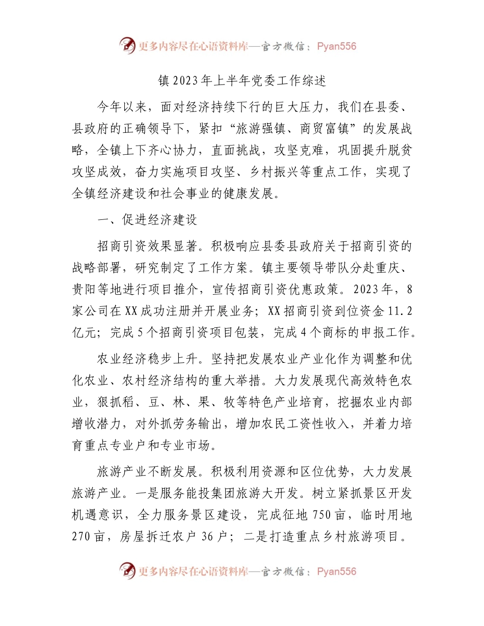 乡镇2023年上半年党委工作总结综述.docx_第1页