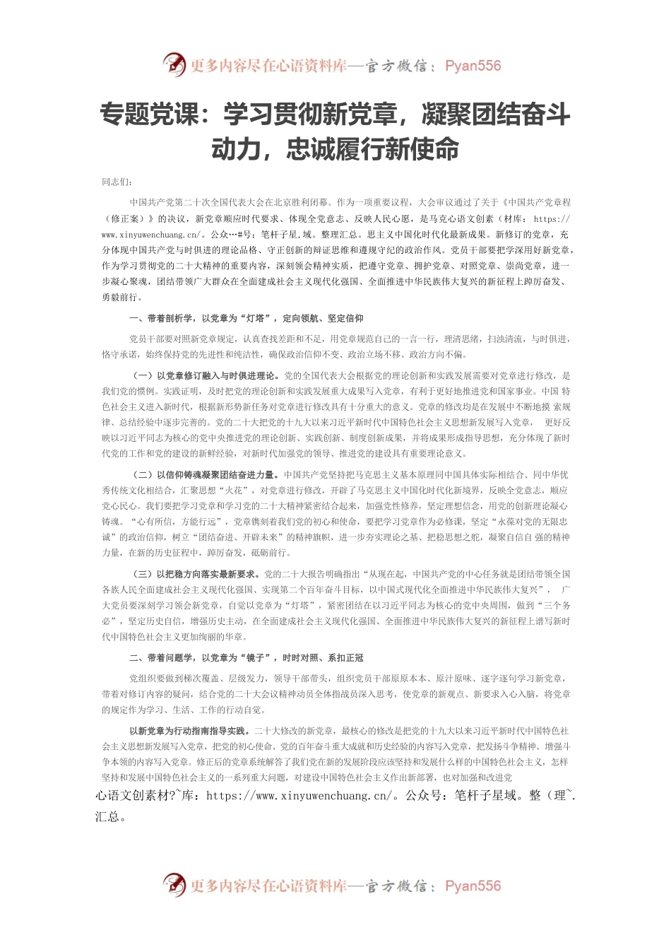 二十大专题党课：学习贯彻新党章，凝聚团结奋斗动力，忠诚履行新使命.docx_第1页