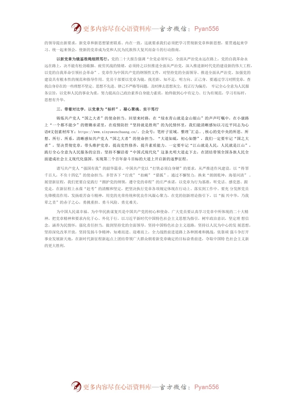 二十大专题党课：学习贯彻新党章，凝聚团结奋斗动力，忠诚履行新使命.docx_第2页