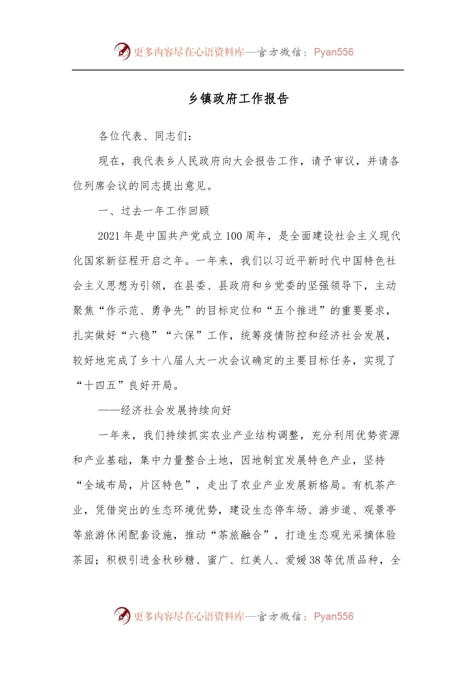 乡镇政府工作报告.docx_第1页