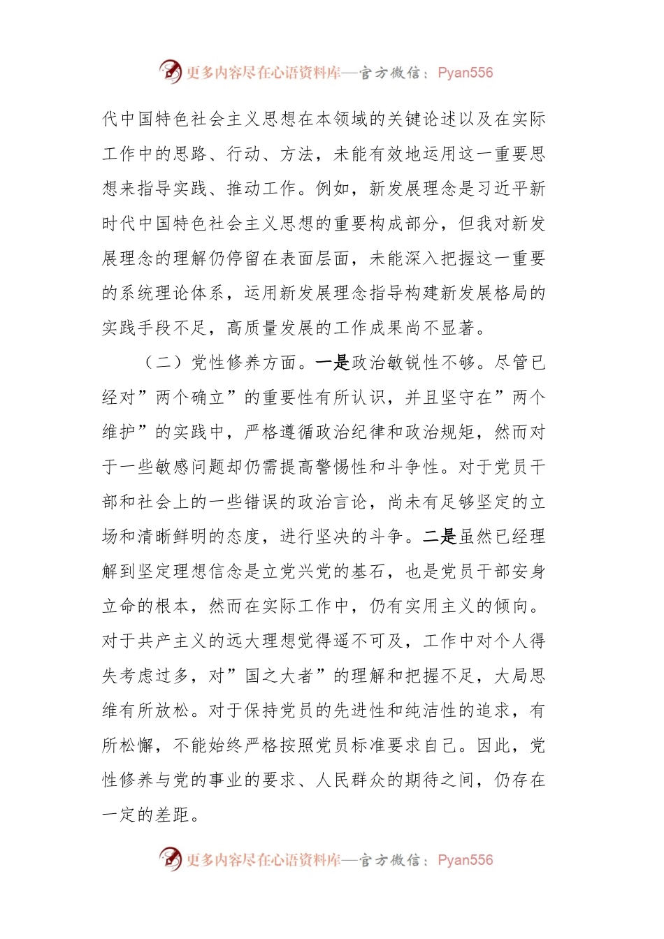 专题组织生活会对照检查发言稿材料.docx_第2页