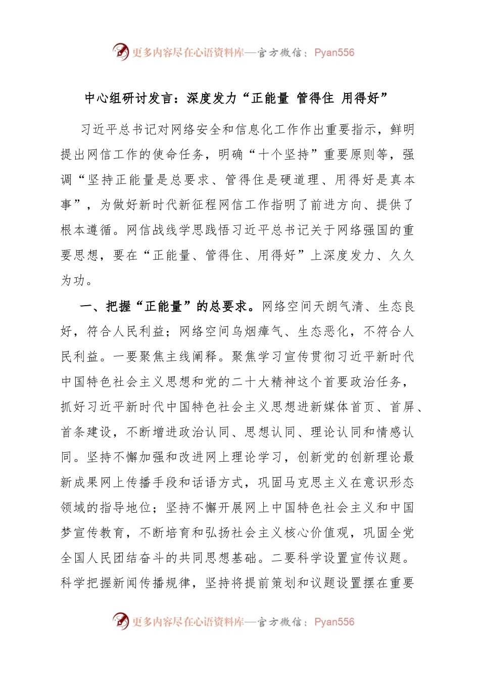中心组研讨发言：深度发力“正能量 管得住 用得好”.docx_第1页