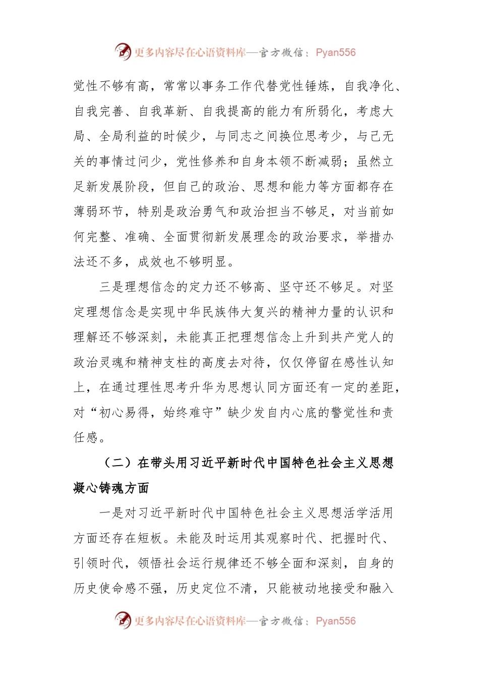 上年度六个带头专题民主生活会个人对照检查材料（领导干部）.docx_第2页