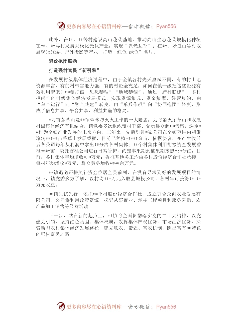 乡村振兴经验交流.docx_第2页