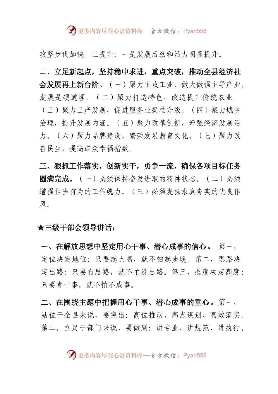 【讲话类】关于三级干部会.docx_第2页