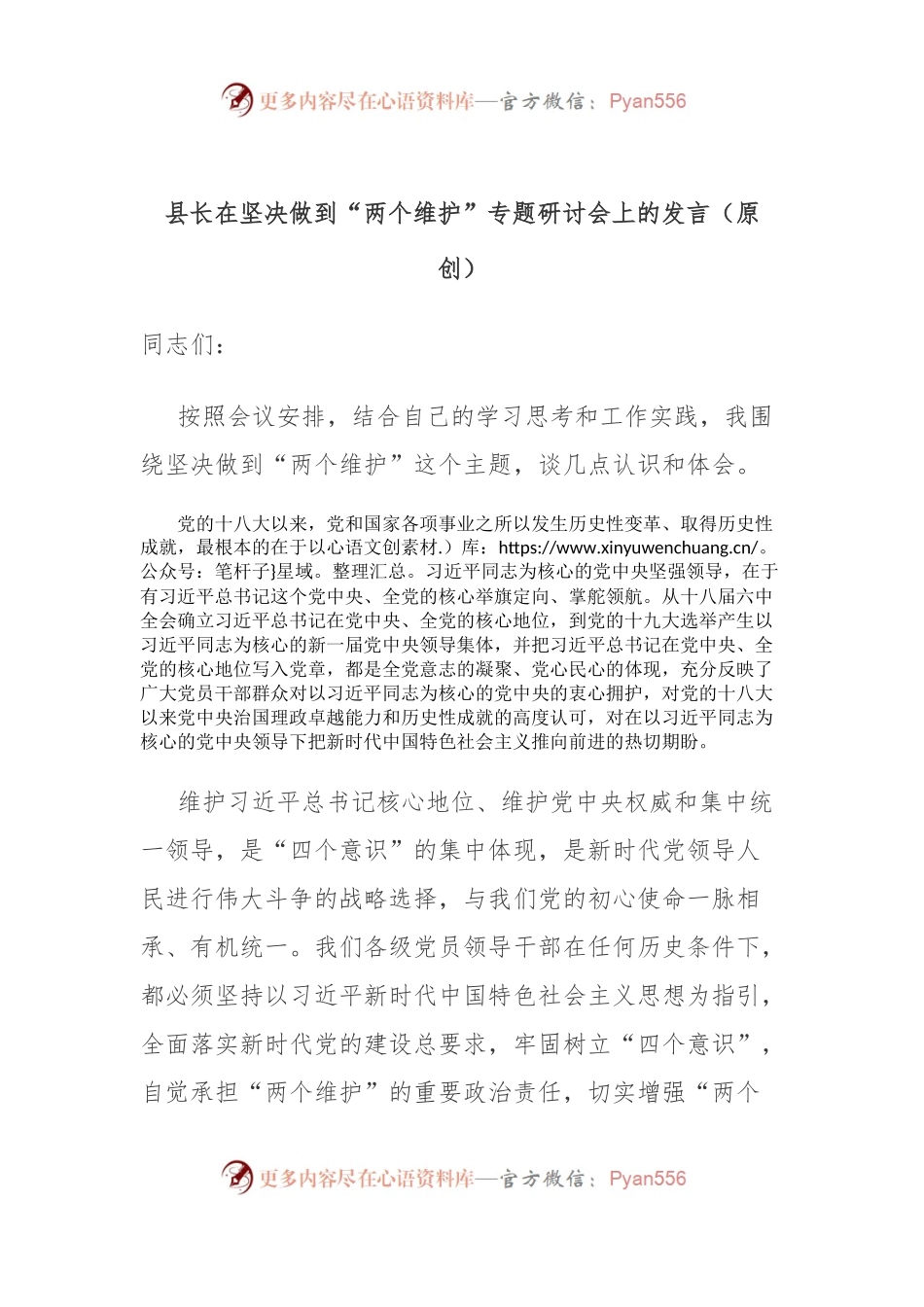 主题教育：县长在坚决做到“两个维护”专题研讨会上的发言.docx_第1页