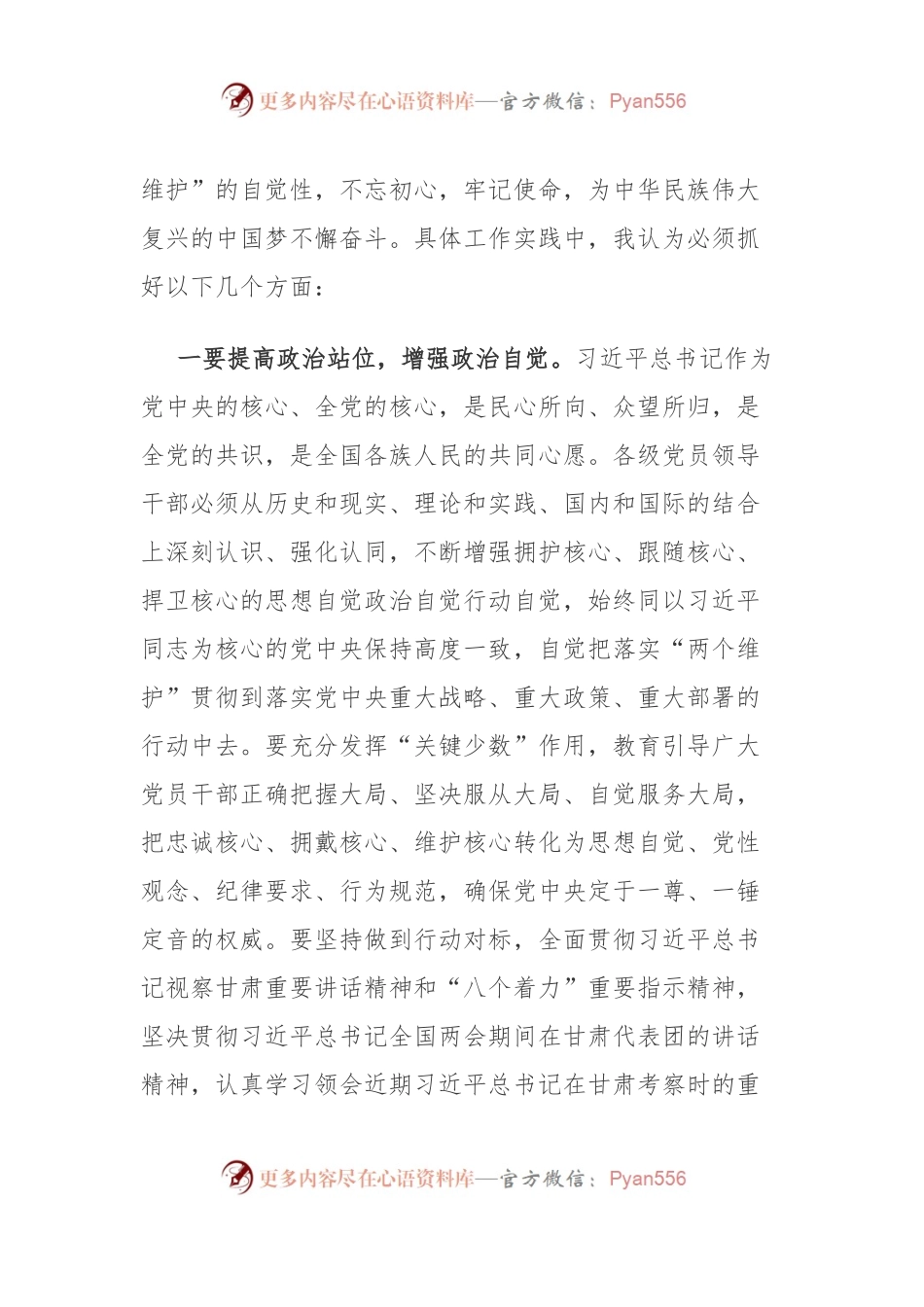 主题教育：县长在坚决做到“两个维护”专题研讨会上的发言.docx_第2页