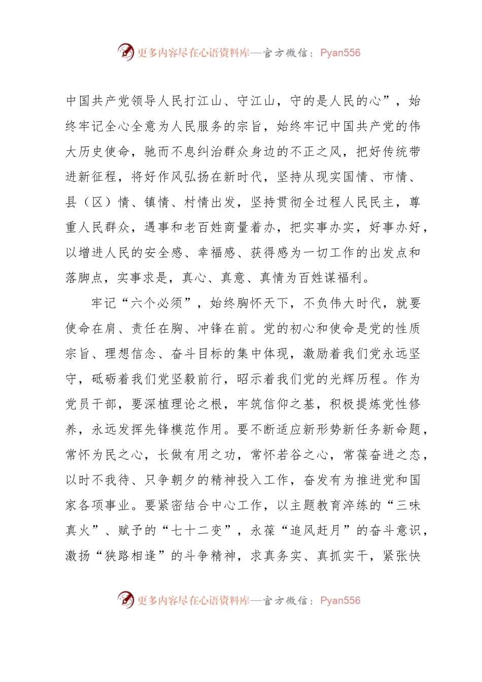 主题教育专题二：深刻领悟“六个必须坚持”讨论发言.docx_第2页